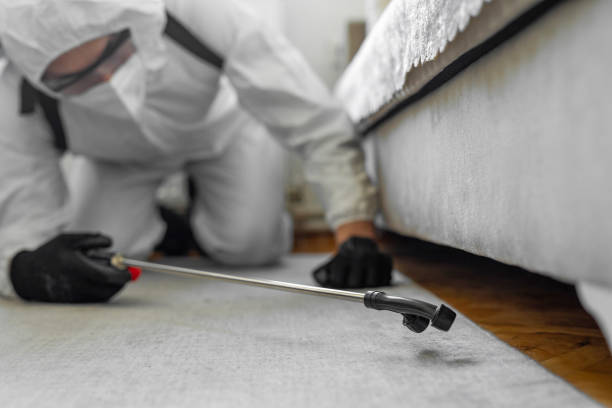 Professional Pest Control technician working in Dodge County County, NE
